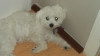 Dr Becker Forum 28.07.2014, 04:43